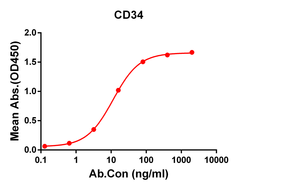 Anti-CD34 Rabbit Monoclonal Antibody