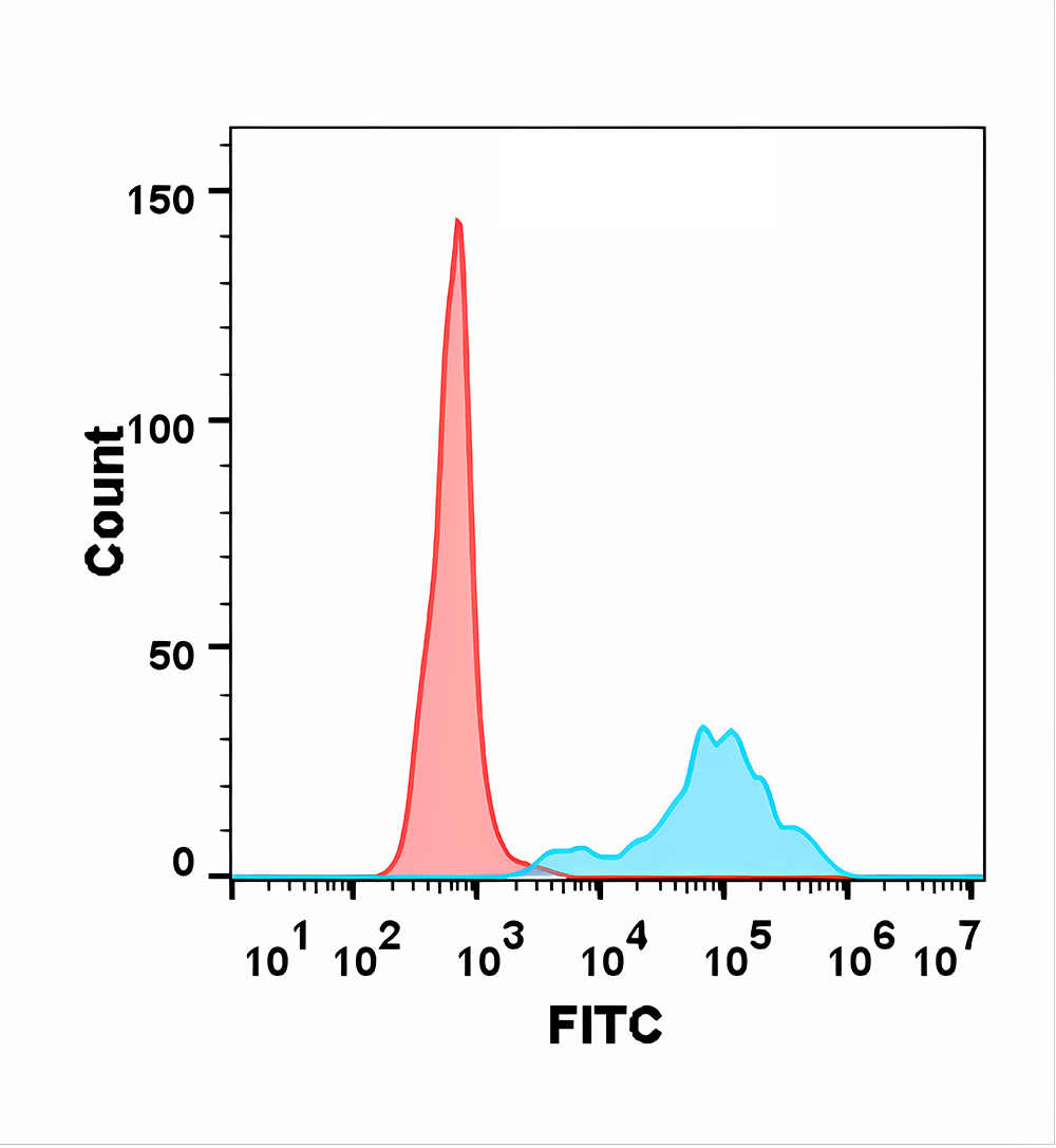 Anti-CD40 Rabbit Monoclonal Antibody