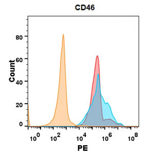Anti-CD46 Rabbit Monoclonal Antibody