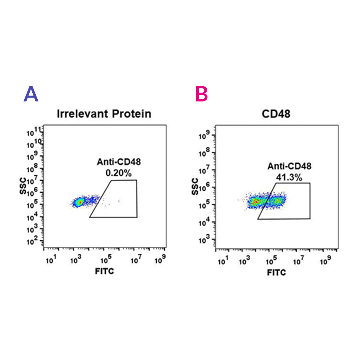 Anti-CD48 Rabbit Monoclonal Antibody