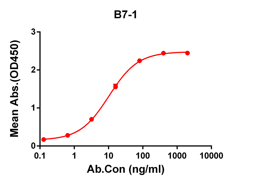 Anti-B7-1 Rabbit Monoclonal Antibody