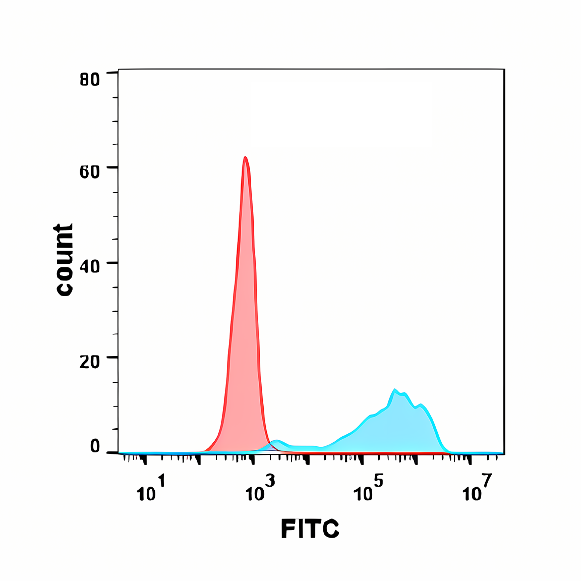 Anti-B7-1 Rabbit Monoclonal Antibody