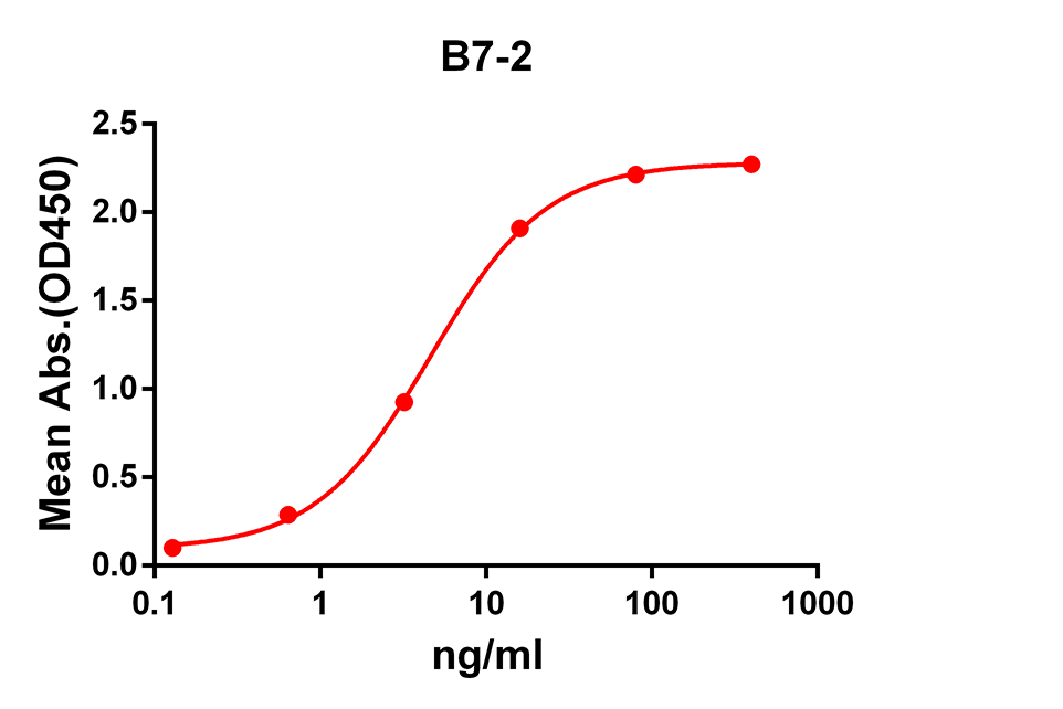 Anti-B7-2 Rabbit Monoclonal Antibody