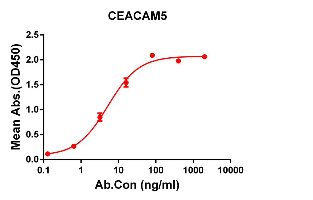 Anti-CEACAM5 Rabbit Monoclonal Antibody
