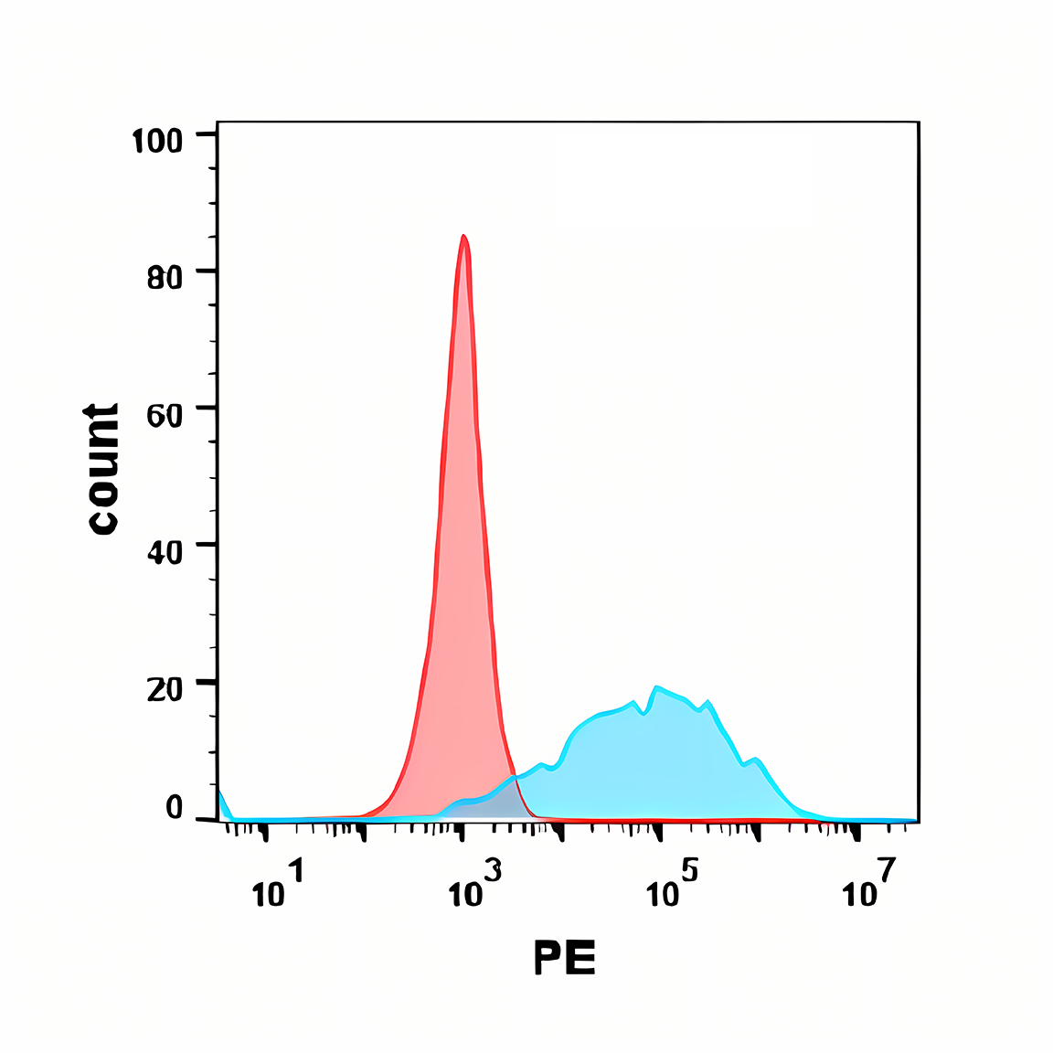 Anti-CEACAM5 Rabbit Monoclonal Antibody