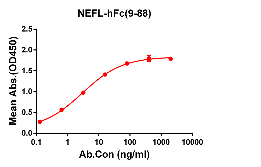 Anti-NEFL Rabbit Monoclonal Antibody