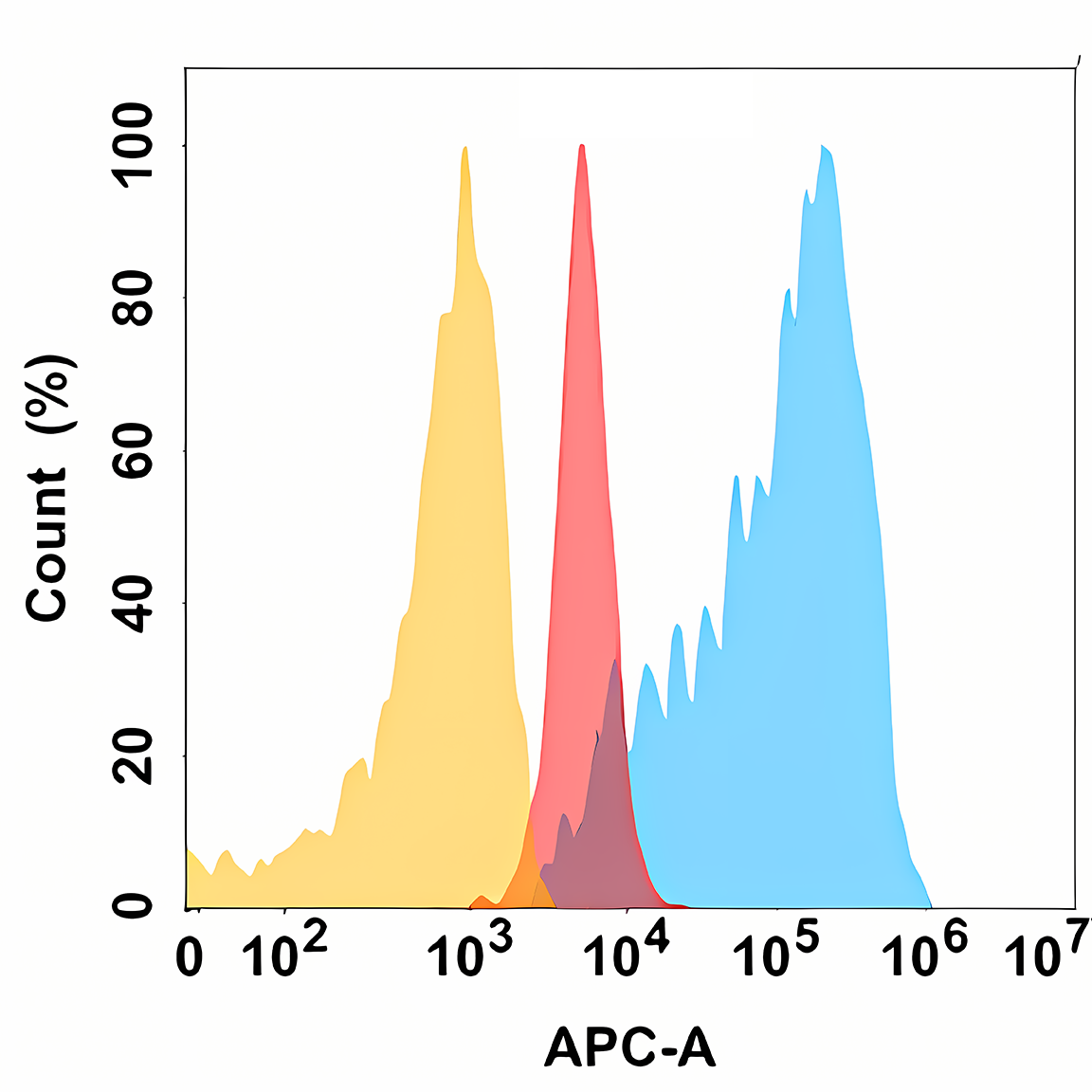 Anti-ADAM9 Rabbit Monoclonal Antibody