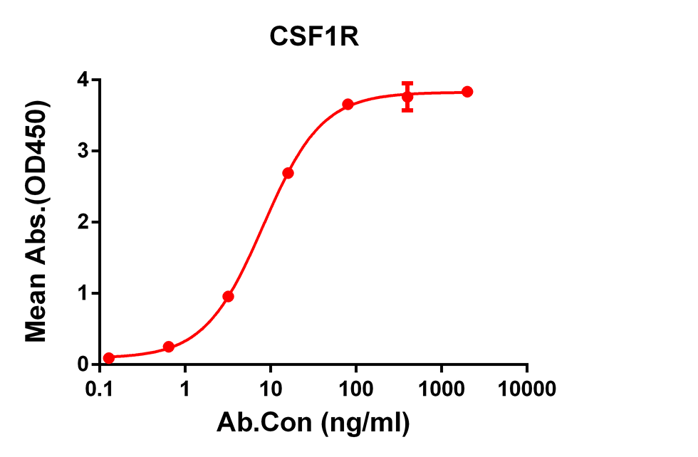 Anti-CSF1R Rabbit Monoclonal Antibody