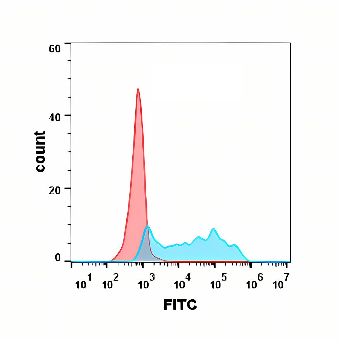 Anti-CSF1R Rabbit Monoclonal Antibody