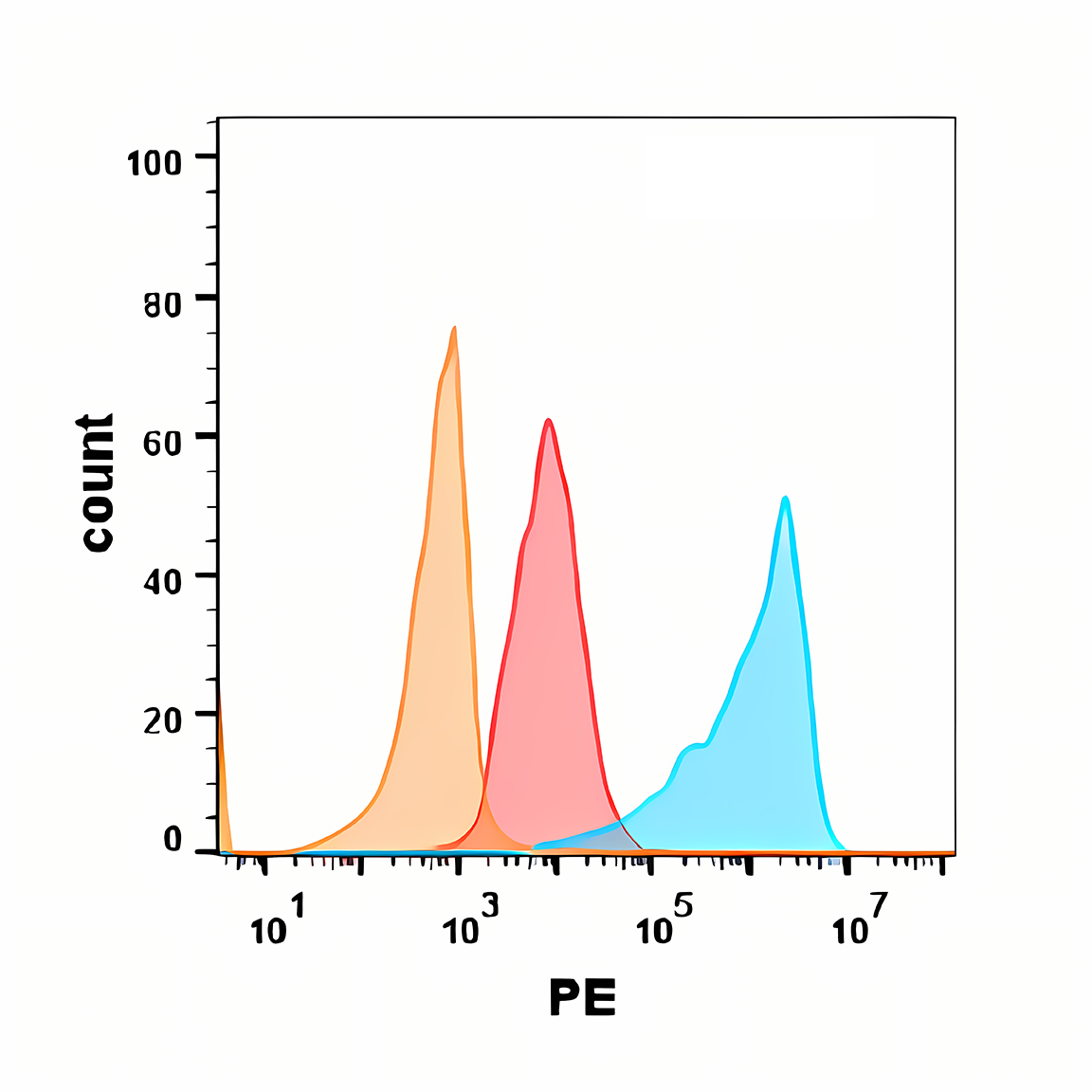 Anti-EGFR Rabbit Monoclonal Antibody