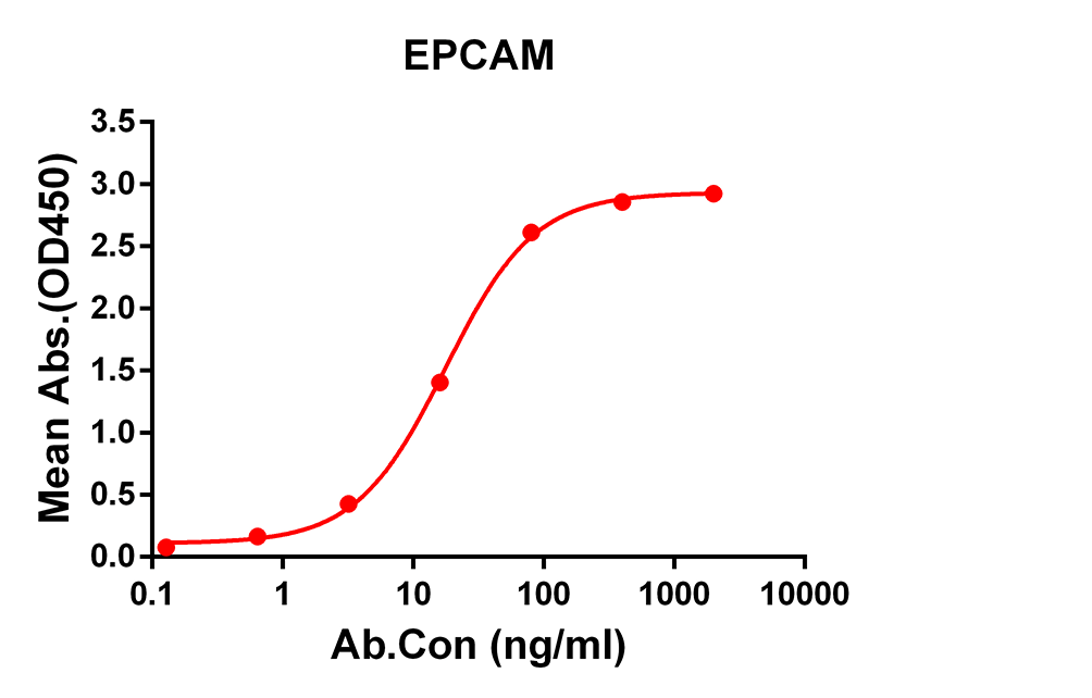 Anti-EPCAM Rabbit Monoclonal Antibody