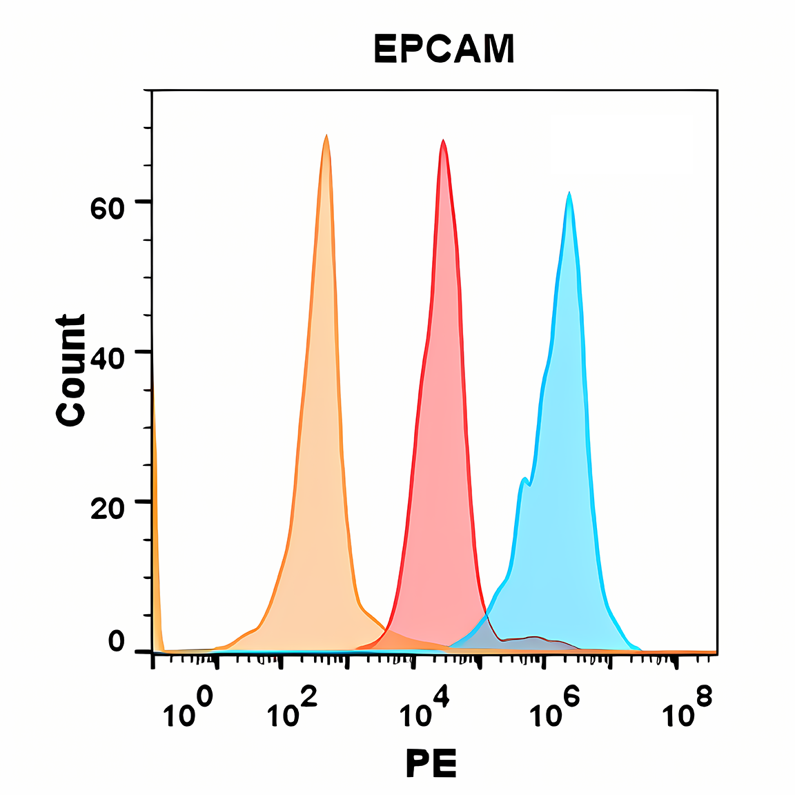 Anti-EPCAM Rabbit Monoclonal Antibody