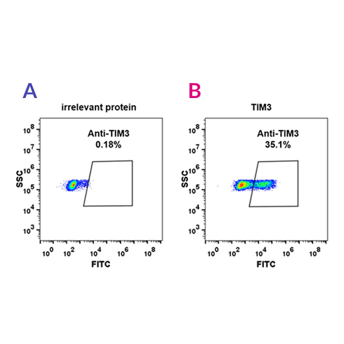 Anti-TIM3 Rabbit Monoclonal Antibody