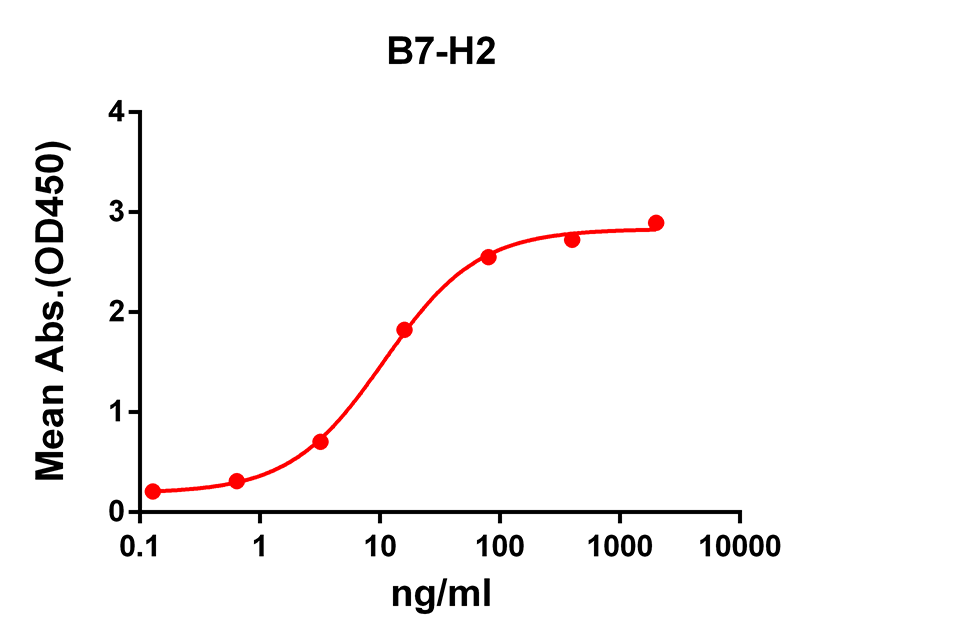 Anti-B7H2 Rabbit Monoclonal Antibody