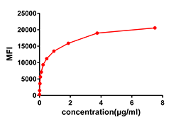 Anti-CD123 Rabbit Monoclonal Antibody
