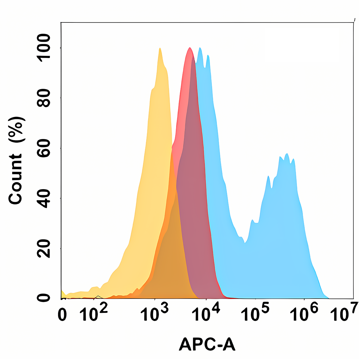 Anti-CD10 Rabbit Monoclonal Antibody