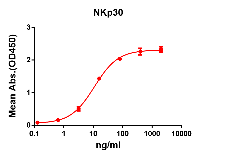 Anti-NKp30 Rabbit Monoclonal Antibody