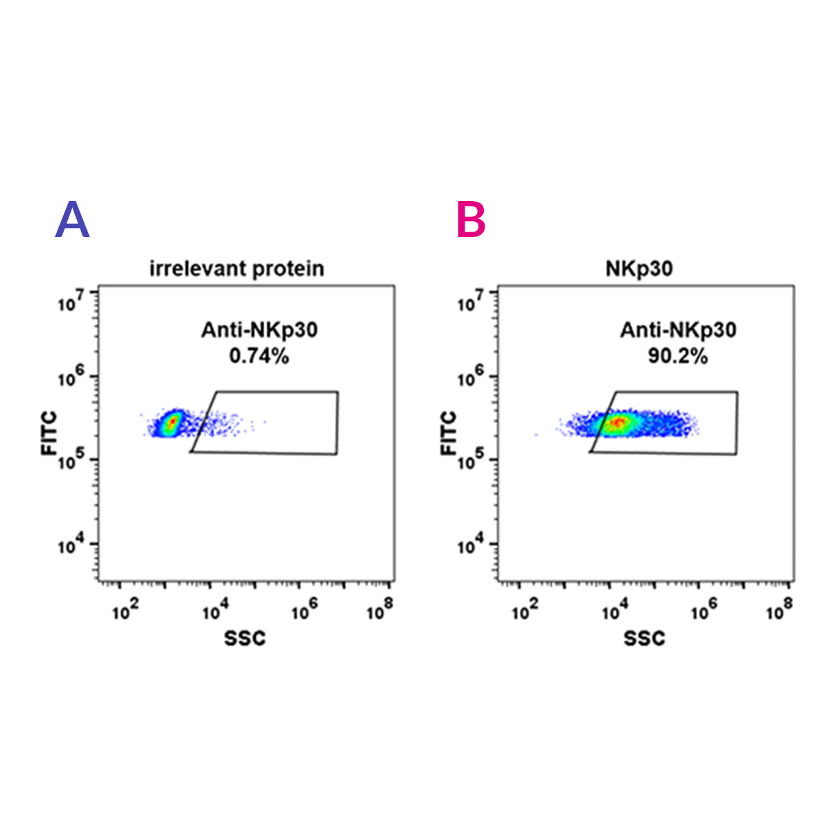 Anti-NKp30 Rabbit Monoclonal Antibody