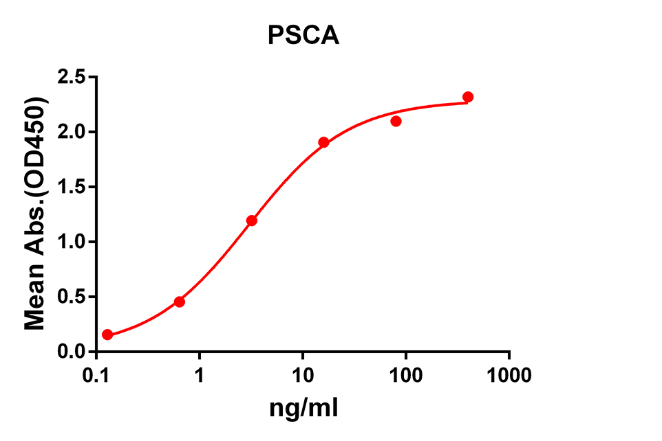 Anti-PSCA Rabbit Monoclonal Antibody