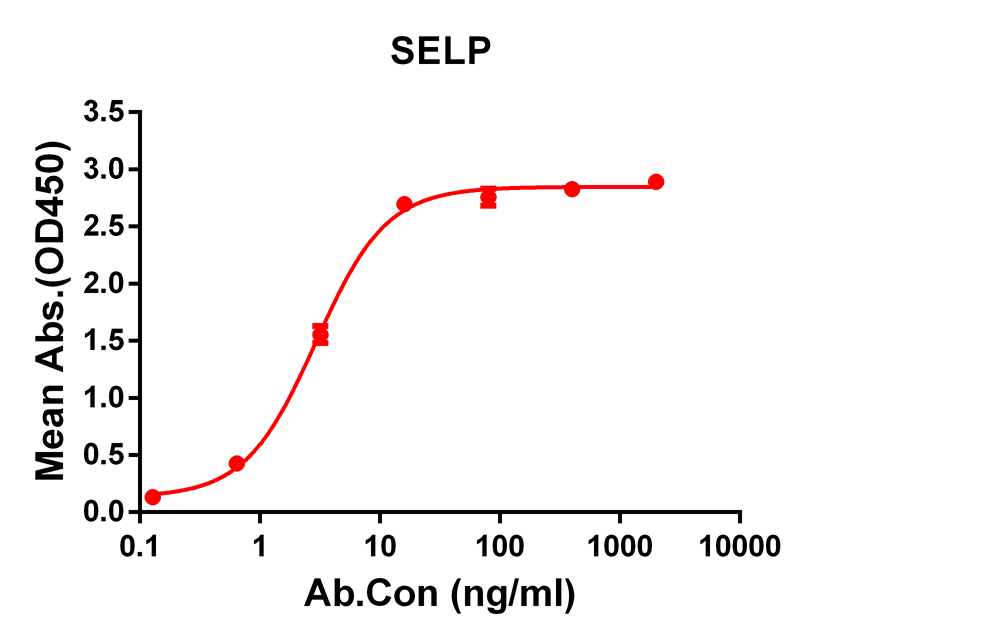 Anti-SELP Rabbit Monoclonal Antibody
