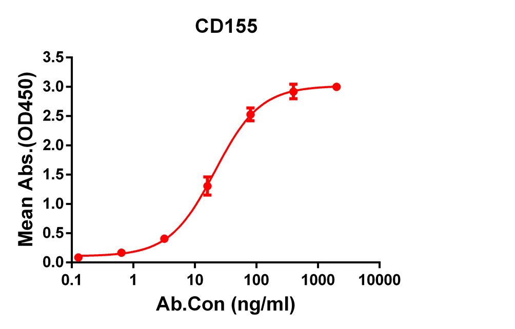 Anti-CD155 Rabbit Monoclonal Antibody