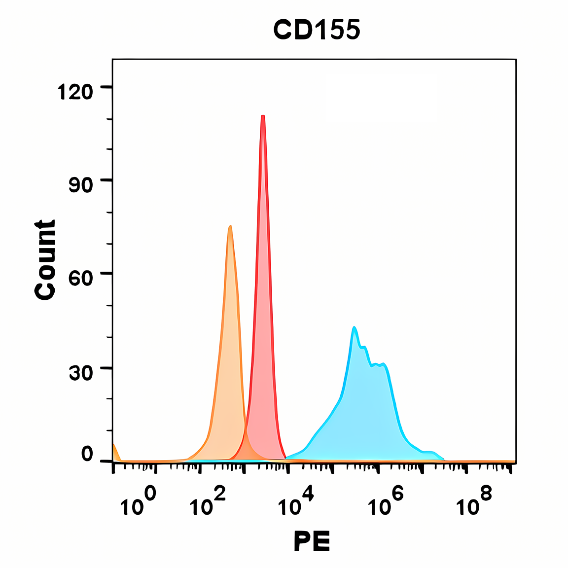 Anti-CD155 Rabbit Monoclonal Antibody