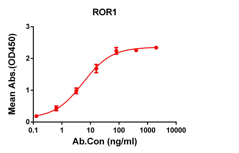 Anti-ROR1 Rabbit Monoclonal Antibody