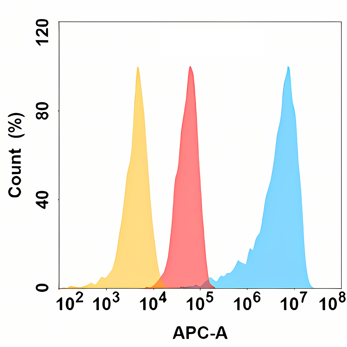Anti-ROR1 Rabbit Monoclonal Antibody