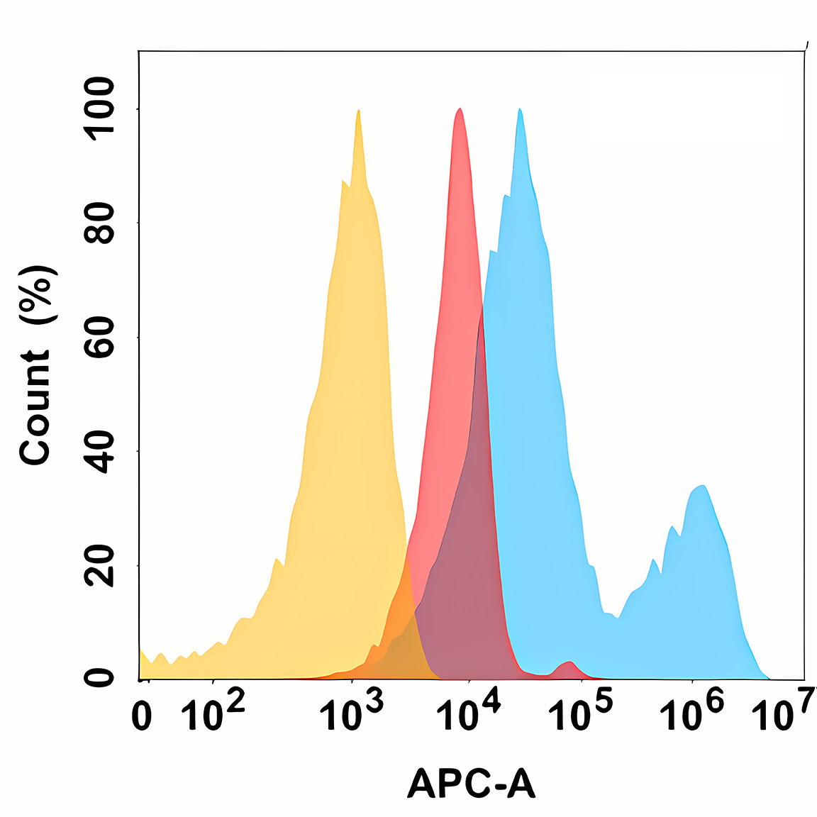 Anti-ROR2 Rabbit Monoclonal Antibody