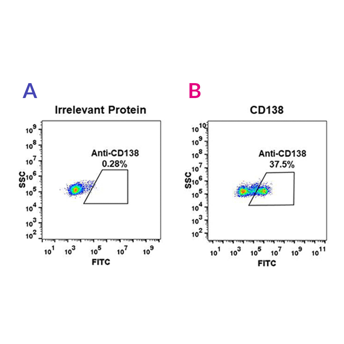 Anti-CD138 Rabbit Monoclonal Antibody