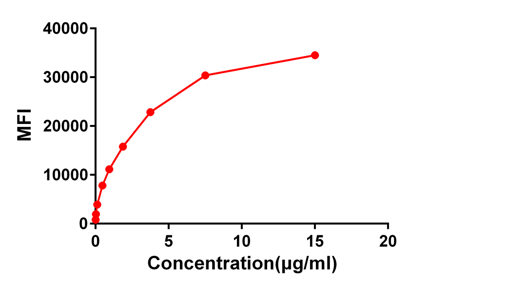 Anti-CD138 Rabbit Monoclonal Antibody