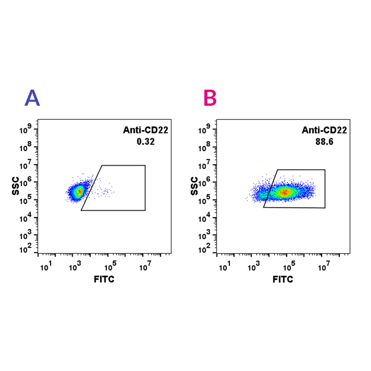Anti-CD22 Rabbit Monoclonal Antibody