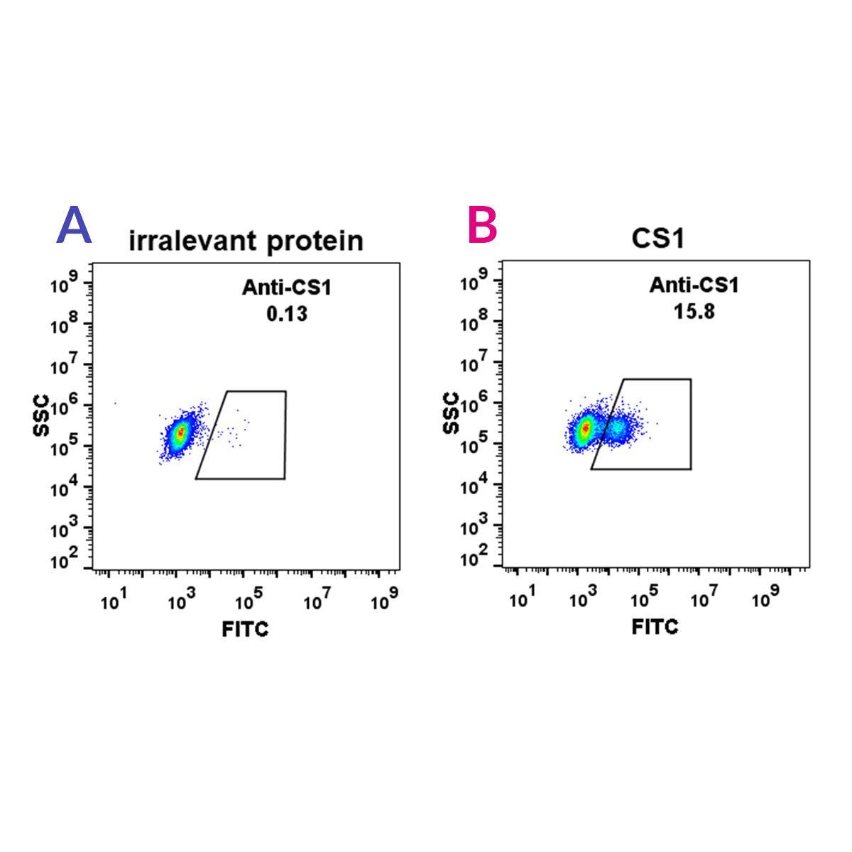 Anti-CS1 Rabbit Monoclonal Antibody