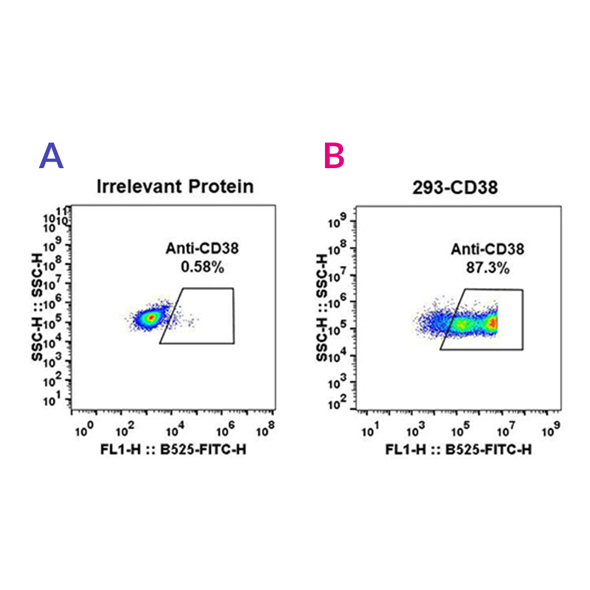 Anti-CD38 Rabbit Monoclonal Antibody
