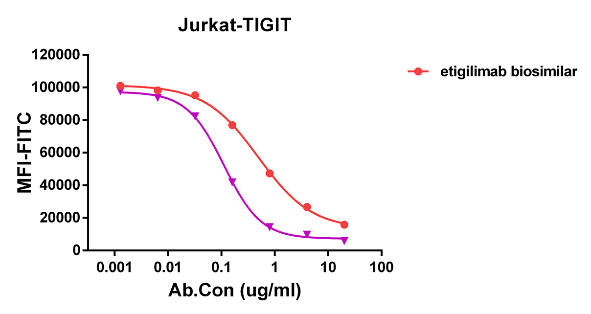 Anti-TIGIT Rabbit Monoclonal Antibody