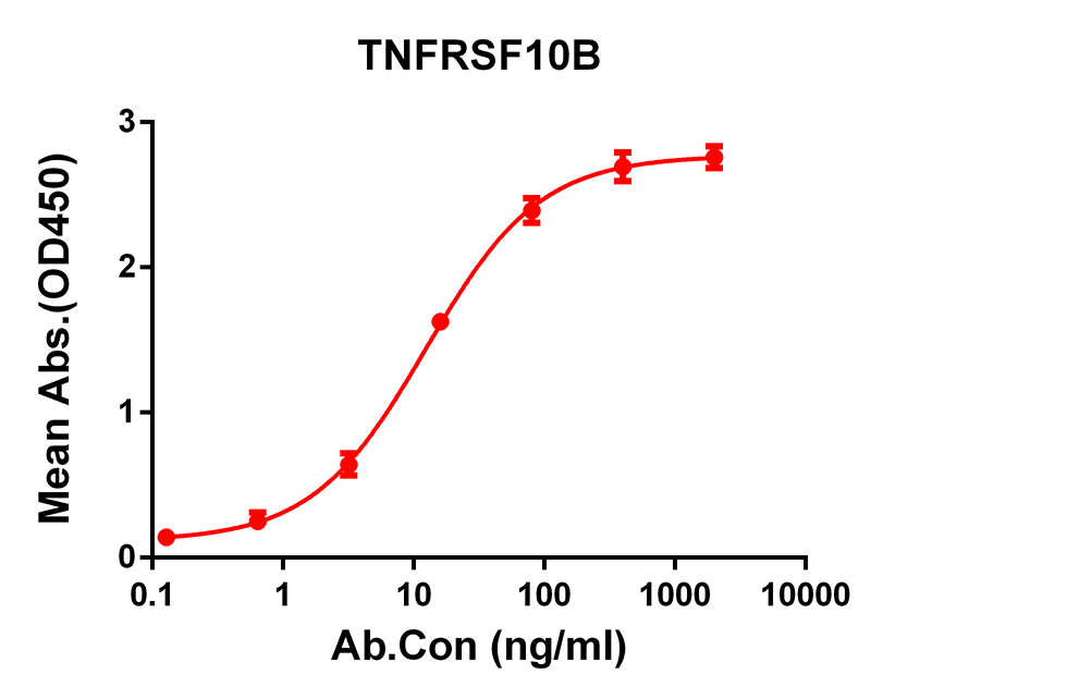 Anti-TNFRSF10B Rabbit Monoclonal Antibody