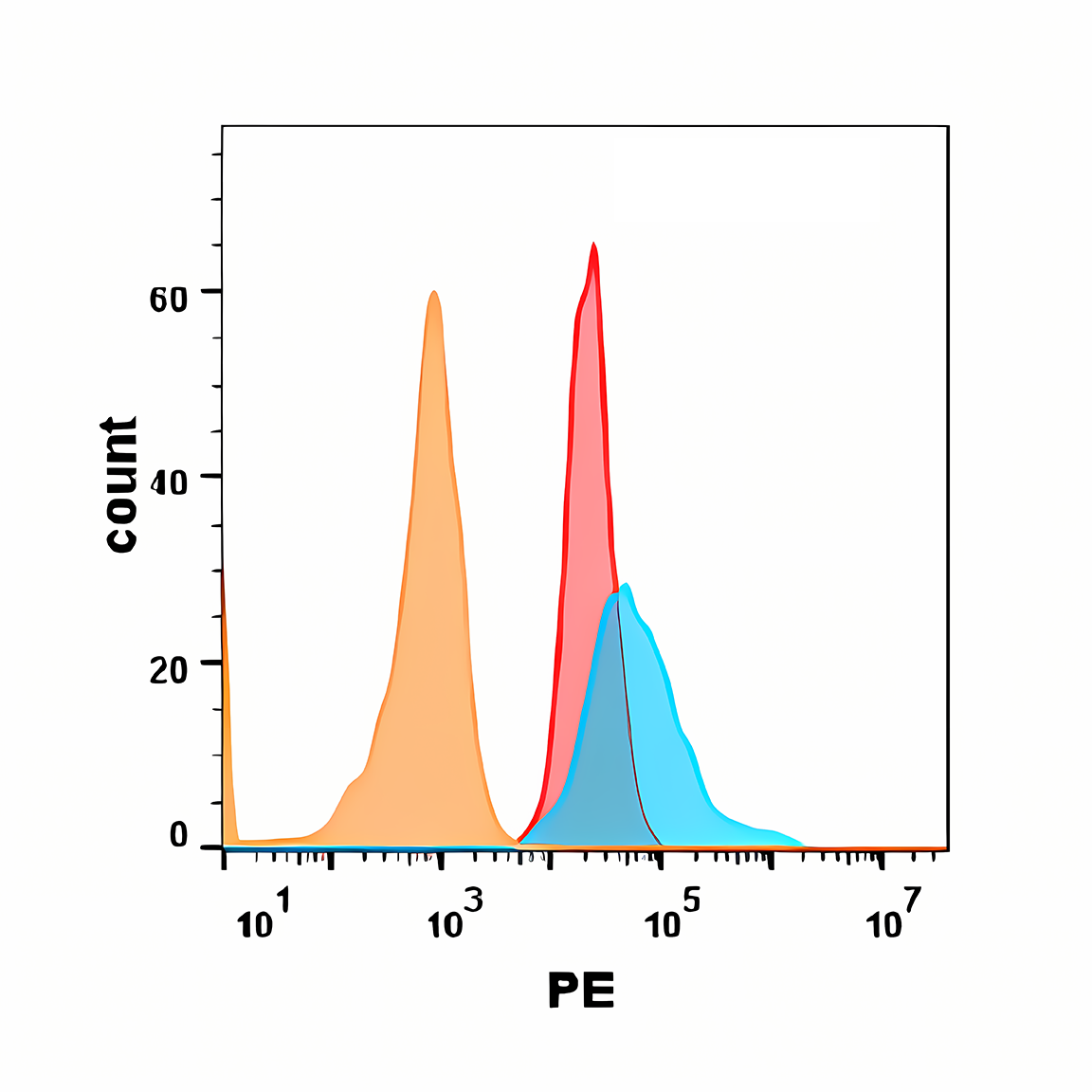 Anti-TNFRSF10B Rabbit Monoclonal Antibody