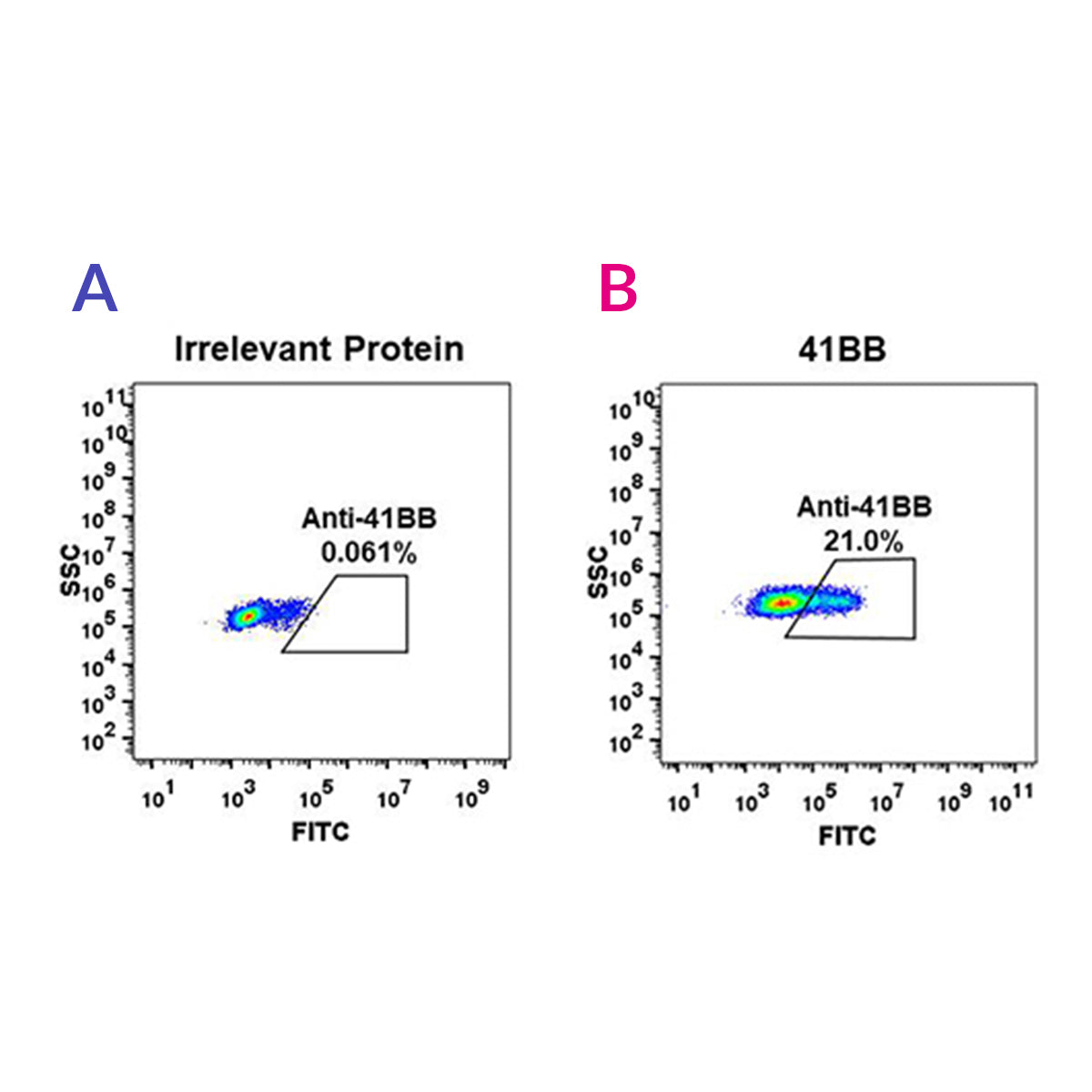 Anti-4-1BB Rabbit Monoclonal Antibody