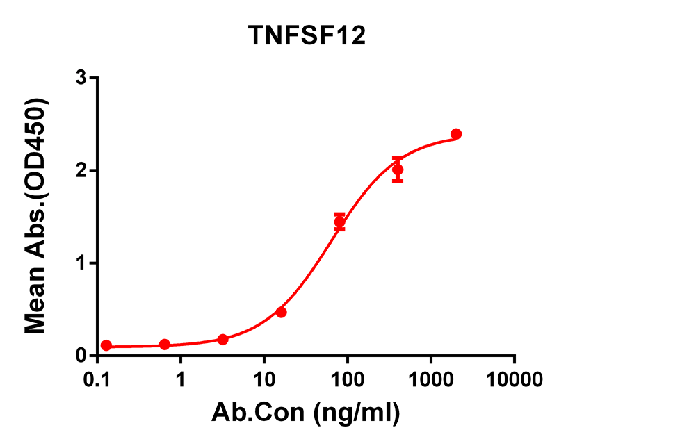 Anti-TNFSF12 Rabbit Monoclonal Antibody