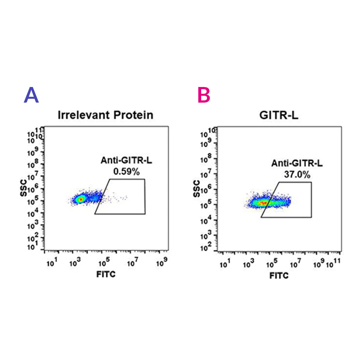Anti-GITR-L Rabbit Monoclonal Antibody