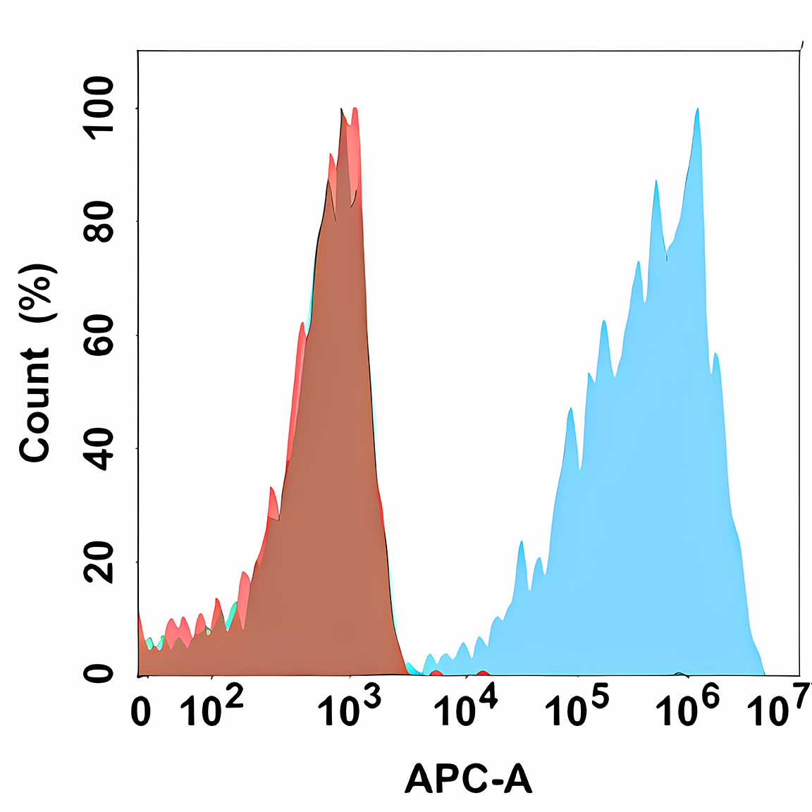 Anti-Claudin 18.2 Rabbit Monoclonal Antibody