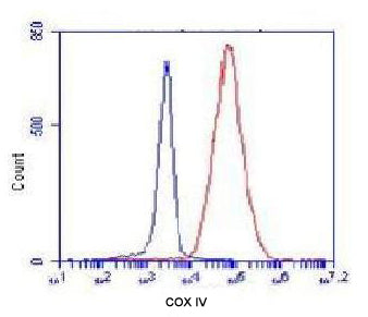 COX IV (4D11) Mouse Monoclonal Antibody