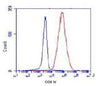 COX IV (4D11) Mouse Monoclonal Antibody
