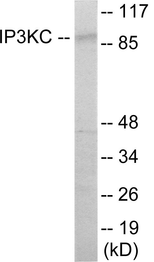 IP3KC Colorimetric Cell-Based ELISA