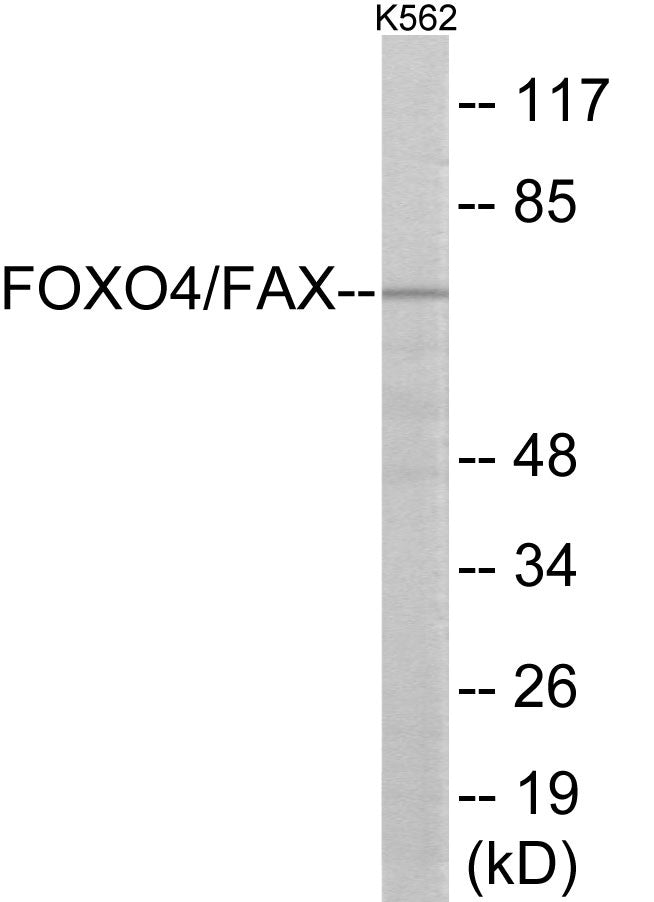 AFX Colorimetric Cell-Based ELISA